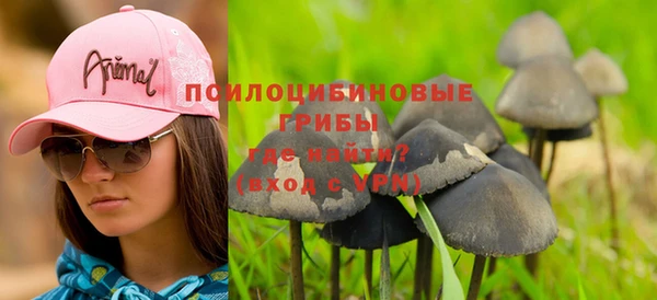apvp Елизово