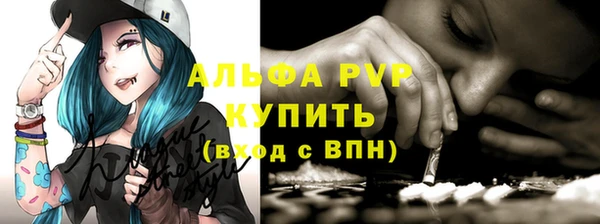 дживик Елабуга