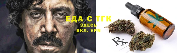 дживик Елабуга