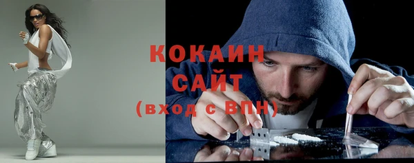 дживик Елабуга