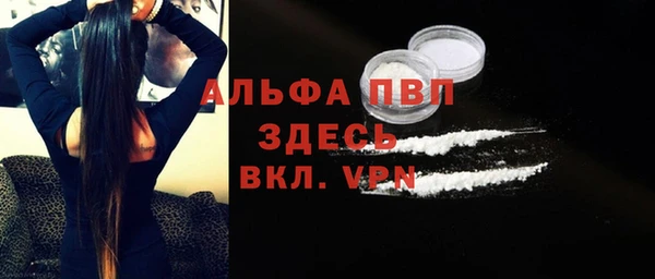 спайс Ельня