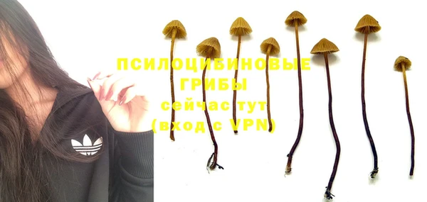дживик Елабуга