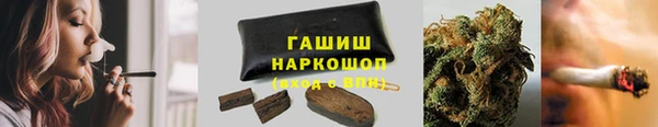 спайс Ельня