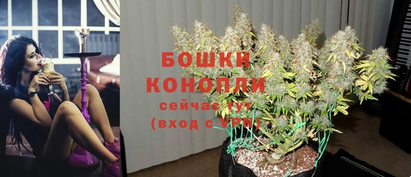 дживик Елабуга