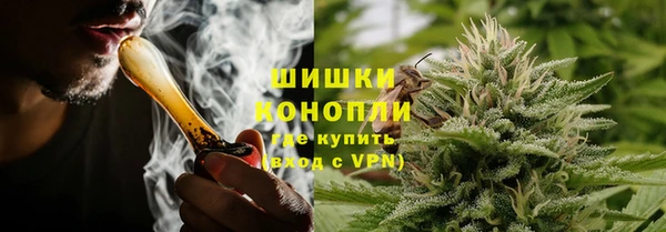 дживик Елабуга